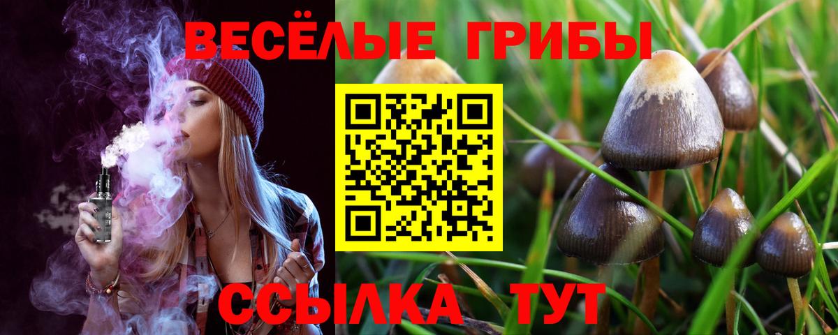 Галлюциногенные грибы прущие грибы Дзержинский